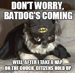 DON'T WORRY, BATDOG'S COMING; WELL, AFTER I TAKE A NAP ON THE COUCH, CITIZENS HOLD UP | image tagged in dog memes | made w/ Imgflip meme maker