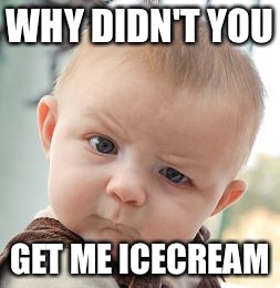 Skeptical Baby Meme | WHY DIDN'T YOU; GET ME ICECREAM | image tagged in memes,skeptical baby | made w/ Imgflip meme maker