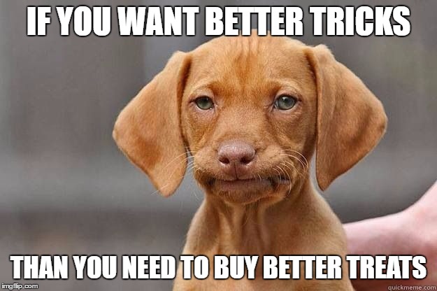 Disappointed Puppy | IF YOU WANT BETTER TRICKS; THAN YOU NEED TO BUY BETTER TREATS | image tagged in disappointed puppy | made w/ Imgflip meme maker