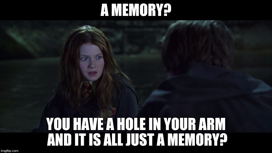 ginny face | A MEMORY? YOU HAVE A HOLE IN YOUR ARM AND IT IS ALL JUST A MEMORY? | image tagged in ginny face | made w/ Imgflip meme maker