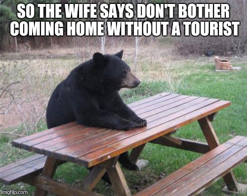 Bad Luck Bear Meme | SO THE WIFE SAYS DON'T BOTHER COMING HOME WITHOUT A TOURIST | image tagged in memes,bad luck bear | made w/ Imgflip meme maker