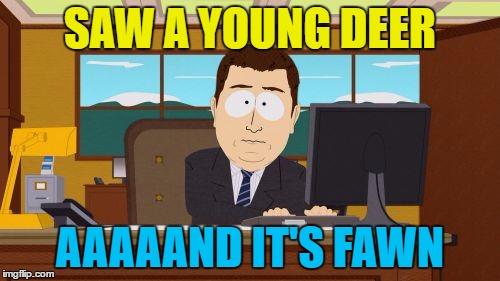 Oh deer... | SAW A YOUNG DEER; AAAAAND IT'S FAWN | image tagged in memes,aaaaand its gone,deer,fawn | made w/ Imgflip meme maker