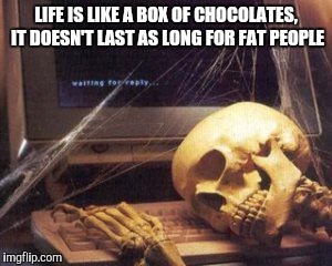 skeleton computer | LIFE IS LIKE A BOX OF CHOCOLATES, IT DOESN'T LAST AS LONG FOR FAT PEOPLE | image tagged in skeleton computer | made w/ Imgflip meme maker