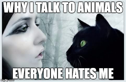 Goth sadness quote | WHY I TALK TO ANIMALS; EVERYONE HATES ME | image tagged in goth,quotes,cat,gothic,dark,sad | made w/ Imgflip meme maker