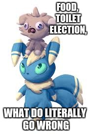 Espurr squeal | FOOD, TOILET ELECTION, WHAT DO LITERALLY GO WRONG | image tagged in espurr squeal | made w/ Imgflip meme maker
