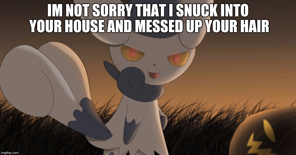 Mean meowstic | IM NOT SORRY THAT I SNUCK INTO YOUR HOUSE AND MESSED UP YOUR HAIR | image tagged in mean meowstic | made w/ Imgflip meme maker
