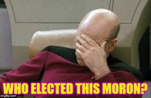 Captain Picard Facepalm Meme | WHO ELECTED THIS MORON? | image tagged in memes,captain picard facepalm | made w/ Imgflip meme maker