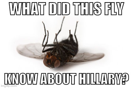 No way this is a coincidence!  | WHAT DID THIS FLY; KNOW ABOUT HILLARY? | image tagged in dead fly,hillary clinton,donald trump,debate,bacon,iwanttobebacon | made w/ Imgflip meme maker
