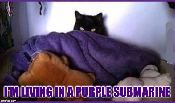 I'M LIVING IN A PURPLE SUBMARINE | made w/ Imgflip meme maker