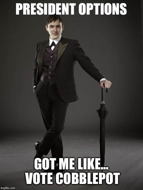 PRESIDENT OPTIONS; GOT ME LIKE... VOTE COBBLEPOT | image tagged in cobblepot for president | made w/ Imgflip meme maker