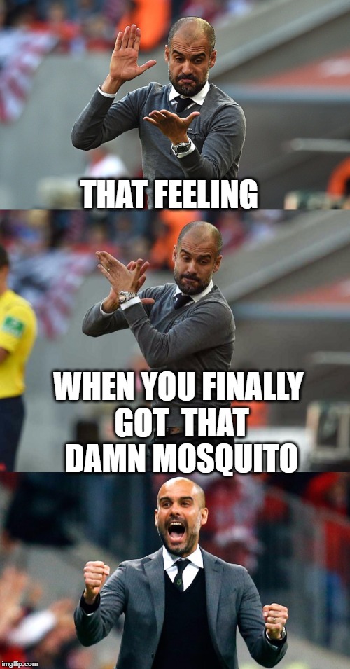 Finito mosquito ! | THAT FEELING; WHEN YOU FINALLY GOT  THAT DAMN MOSQUITO | image tagged in memes,funny,mosquito | made w/ Imgflip meme maker