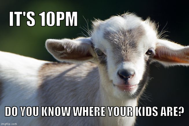 Mind Your Goats | IT'S 10PM; DO YOU KNOW WHERE YOUR KIDS ARE? | image tagged in goat,kid,pun,meme,funny | made w/ Imgflip meme maker