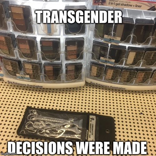 TRANSGENDER; DECISIONS WERE MADE | image tagged in transgender | made w/ Imgflip meme maker