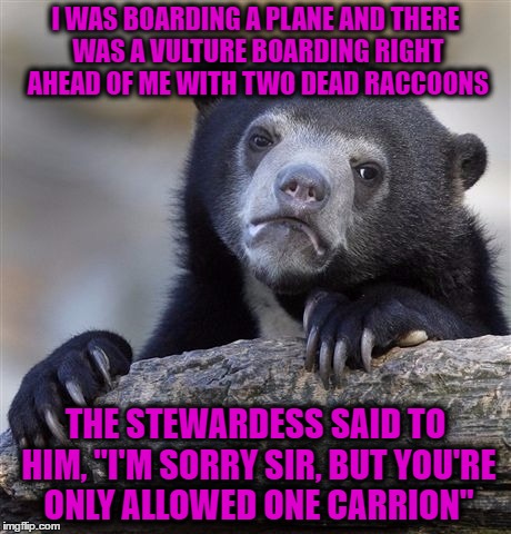 Confession Bear | I WAS BOARDING A PLANE AND THERE WAS A VULTURE BOARDING RIGHT AHEAD OF ME WITH TWO DEAD RACCOONS; THE STEWARDESS SAID TO HIM, "I'M SORRY SIR, BUT YOU'RE ONLY ALLOWED ONE CARRION" | image tagged in memes,confession bear | made w/ Imgflip meme maker