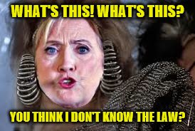 Mad Hillary Beyond Thunderdome | WHAT'S THIS! WHAT'S THIS? YOU THINK I DON'T KNOW THE LAW? | image tagged in memes,hillary clinton,thunderdome,original meme | made w/ Imgflip meme maker
