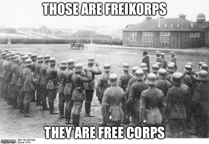 THOSE ARE FREIKORPS; THEY ARE FREE CORPS | image tagged in freikorps | made w/ Imgflip meme maker