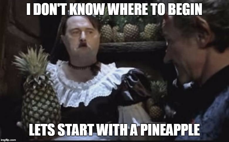 Hitler Pineapple | I DON'T KNOW WHERE TO BEGIN LETS START WITH A PINEAPPLE | image tagged in hitler pineapple | made w/ Imgflip meme maker