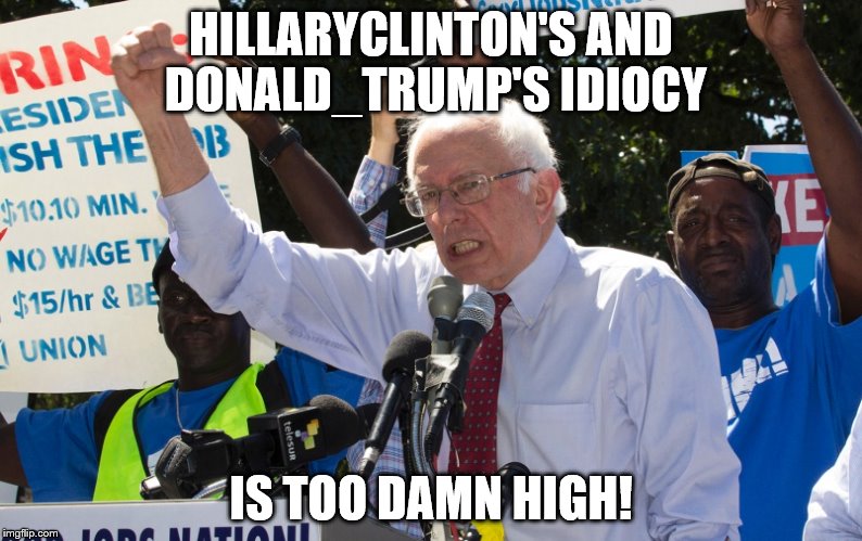 Too Damn High Bernie | HILLARYCLINTON'S AND DONALD_TRUMP'S IDIOCY; IS TOO DAMN HIGH! | image tagged in too damn high bernie | made w/ Imgflip meme maker