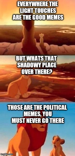 simba | EVERYWHERE THE LIGHT TOUCHES ARE THE GOOD MEMES; BUT WHATS THAT SHADOWY PLACE OVER THERE? THOSE ARE THE POLITICAL MEMES, YOU MUST NEVER GO THERE | image tagged in simba | made w/ Imgflip meme maker
