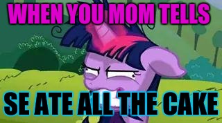 mlp | WHEN YOU MOM TELLS; SE ATE ALL THE CAKE | image tagged in mlp | made w/ Imgflip meme maker