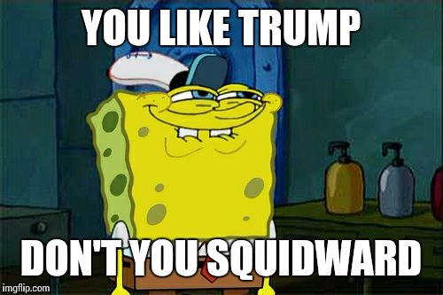Don't You Squidward | YOU LIKE TRUMP; DON'T YOU SQUIDWARD | image tagged in memes,dont you squidward | made w/ Imgflip meme maker