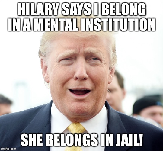 Lol | HILARY SAYS I BELONG IN A MENTAL INSTITUTION; SHE BELONGS IN JAIL! | image tagged in meme,nsfw | made w/ Imgflip meme maker