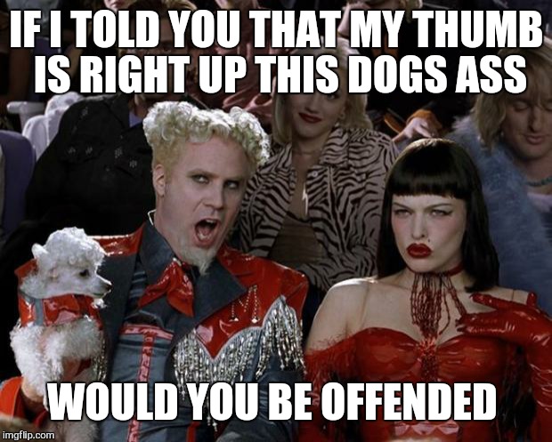 Mugatu So Hot Right Now Meme | IF I TOLD YOU THAT MY THUMB IS RIGHT UP THIS DOGS ASS WOULD YOU BE OFFENDED | image tagged in memes,mugatu so hot right now | made w/ Imgflip meme maker