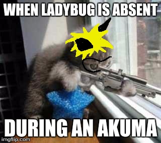 CatSniper | WHEN LADYBUG IS ABSENT; DURING AN AKUMA | image tagged in catsniper | made w/ Imgflip meme maker