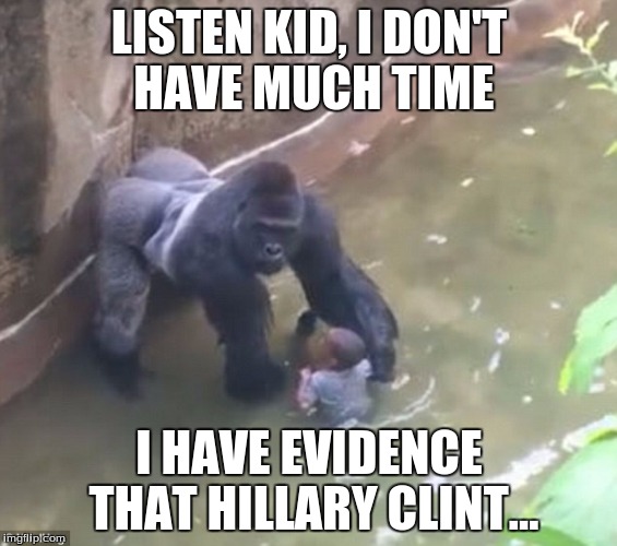 why he really died | LISTEN KID, I DON'T HAVE MUCH TIME; I HAVE EVIDENCE THAT HILLARY CLINT... | image tagged in harambe | made w/ Imgflip meme maker