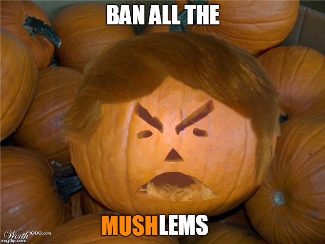 Donald Trumpkin | BAN ALL THE; MUSH; LEMS | image tagged in donald trumpkin,memes,funny | made w/ Imgflip meme maker