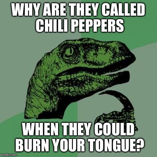 Philosoraptor | WHY ARE THEY CALLED CHILI PEPPERS; WHEN THEY COULD BURN YOUR TONGUE? | image tagged in memes,philosoraptor | made w/ Imgflip meme maker