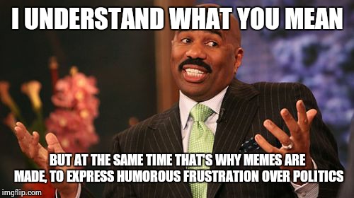 Steve Harvey Meme | I UNDERSTAND WHAT YOU MEAN BUT AT THE SAME TIME THAT'S WHY MEMES ARE MADE, TO EXPRESS HUMOROUS FRUSTRATION OVER POLITICS | image tagged in memes,steve harvey | made w/ Imgflip meme maker