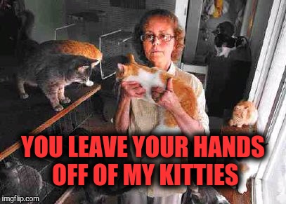 YOU LEAVE YOUR HANDS OFF OF MY KITTIES | made w/ Imgflip meme maker