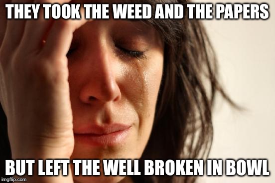 First World Problems Meme | THEY TOOK THE WEED AND THE PAPERS BUT LEFT THE WELL BROKEN IN BOWL | image tagged in memes,first world problems | made w/ Imgflip meme maker