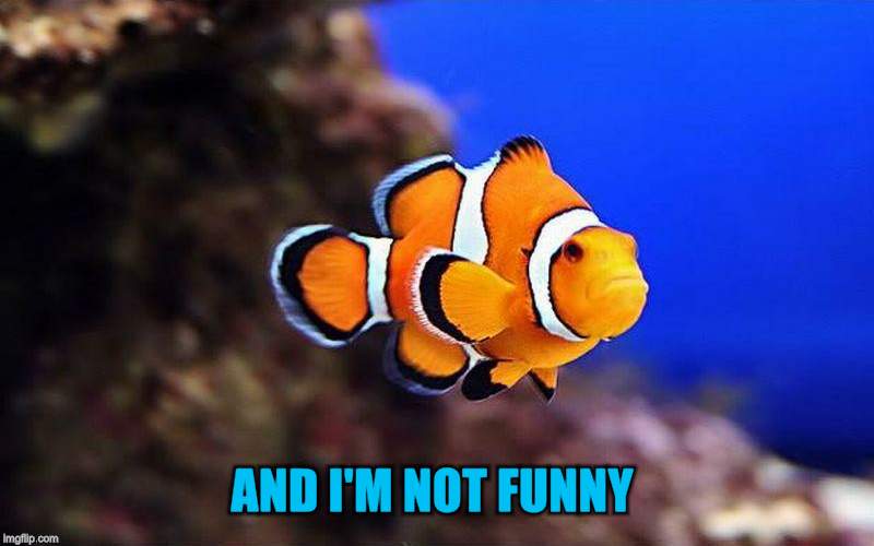 AND I'M NOT FUNNY | made w/ Imgflip meme maker