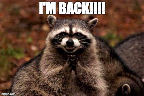 Evil Plotting Raccoon | I'M BACK!!!! | image tagged in memes,evil plotting raccoon | made w/ Imgflip meme maker