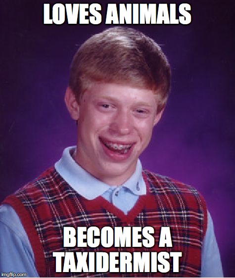 Bad Luck Brian Loves Animals | LOVES ANIMALS; BECOMES A TAXIDERMIST | image tagged in bad luck brian,animals,taxidermist | made w/ Imgflip meme maker