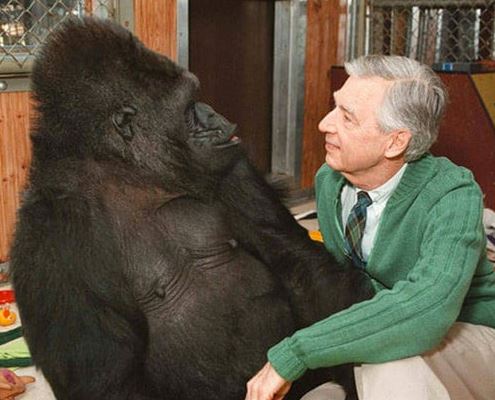 Mr Rogers and Harambe Blank Meme Template