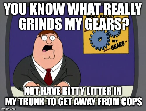 YOU KNOW WHAT REALLY GRINDS MY GEARS? NOT HAVE KITTY LITTER IN MY TRUNK TO GET AWAY FROM COPS | made w/ Imgflip meme maker