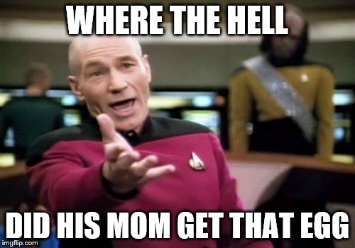 Picard Wtf Meme | WHERE THE HELL DID HIS MOM GET THAT EGG | image tagged in memes,picard wtf | made w/ Imgflip meme maker