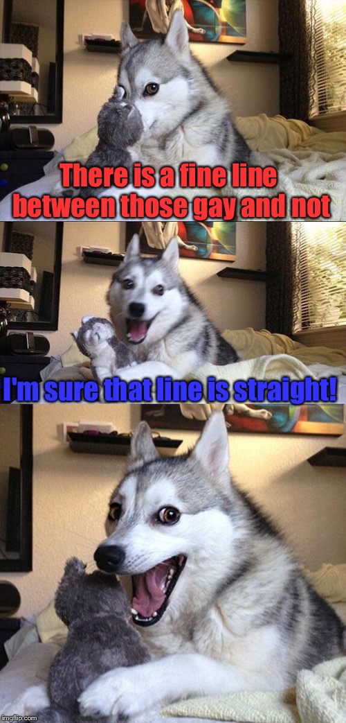 Bad Pun Dog | There is a fine line between those gay and not; I'm sure that line is straight! | image tagged in memes,bad pun dog,straight,gay,funny | made w/ Imgflip meme maker