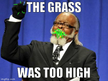 Too Damn High Meme | THE GRASS; WAS TOO HIGH | image tagged in memes,too damn high | made w/ Imgflip meme maker