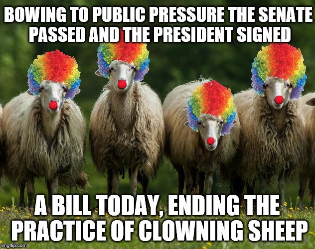 Clowning is baaad. | BOWING TO PUBLIC PRESSURE THE SENATE PASSED AND THE PRESIDENT SIGNED; A BILL TODAY, ENDING THE PRACTICE OF CLOWNING SHEEP | image tagged in memes,animals,sheeps,clowns | made w/ Imgflip meme maker
