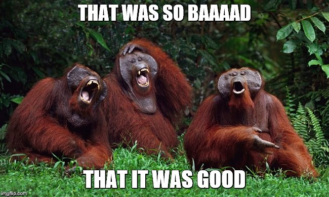 THAT WAS SO BAAAAD THAT IT WAS GOOD | image tagged in laughing orangutans | made w/ Imgflip meme maker