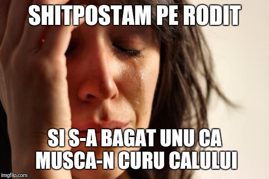 First World Problems Meme | SHITPOSTAM PE RODIT; SI S-A BAGAT UNU CA MUSCA-N CURU CALULUI | image tagged in memes,first world problems | made w/ Imgflip meme maker