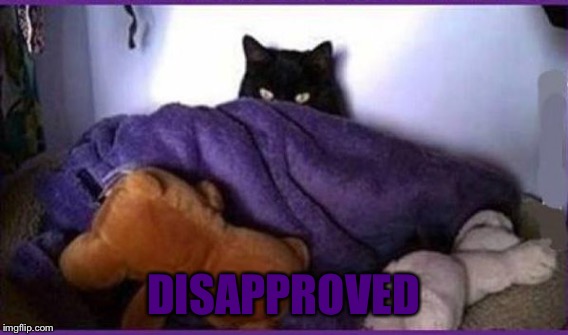DISAPPROVED | made w/ Imgflip meme maker