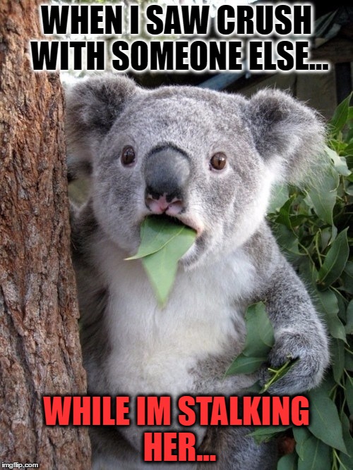 Surprised Koala Meme | WHEN I SAW CRUSH WITH SOMEONE ELSE... WHILE IM STALKING HER... | image tagged in memes,surprised coala | made w/ Imgflip meme maker