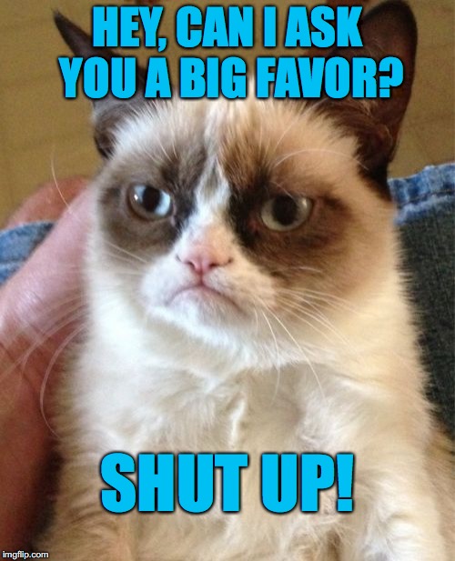 Grumpy Cat | HEY, CAN I ASK YOU A BIG FAVOR? SHUT UP! | image tagged in memes,grumpy cat | made w/ Imgflip meme maker