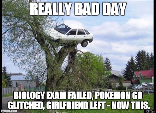 Meanwhile, in a parking lot near the local Walmart . . . | REALLY BAD DAY; BIOLOGY EXAM FAILED, POKEMON GO GLITCHED, GIRLFRIEND LEFT - NOW THIS. | image tagged in memes,secure parking | made w/ Imgflip meme maker