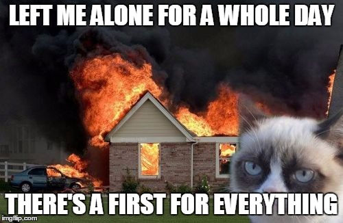 I did try to warn you . . . | LEFT ME ALONE FOR A WHOLE DAY; THERE'S A FIRST FOR EVERYTHING | image tagged in memes,burn kitty | made w/ Imgflip meme maker